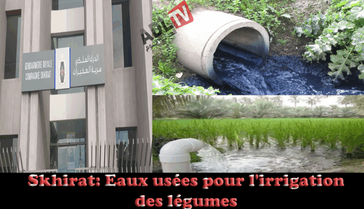 # تفكيك شبكة خطيرة لاستخدام المياه العادمة في ري الخضر يثير قلقًا بيئيًا وصحيًا كبيرًا