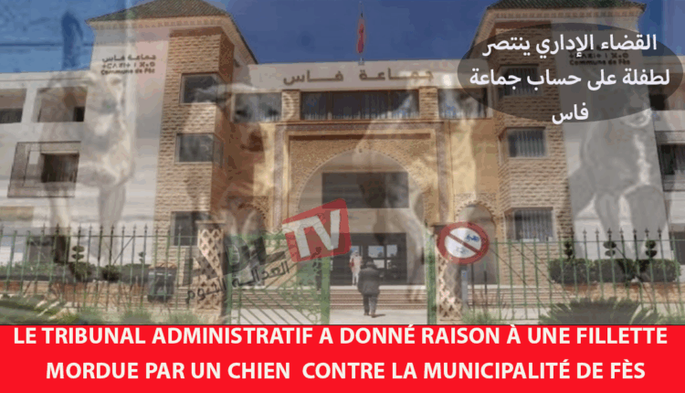 #القضاء الإداري بفاس ينصف طفلة عضها كلب ضال في مواجهة جماعة فاس