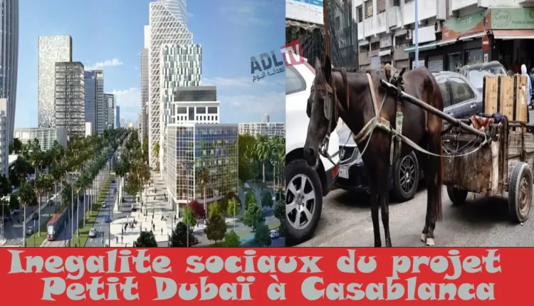 #التحديات الاجتماعية في مخطط "دبي الصغيرة" ب"الدار البيضاء"