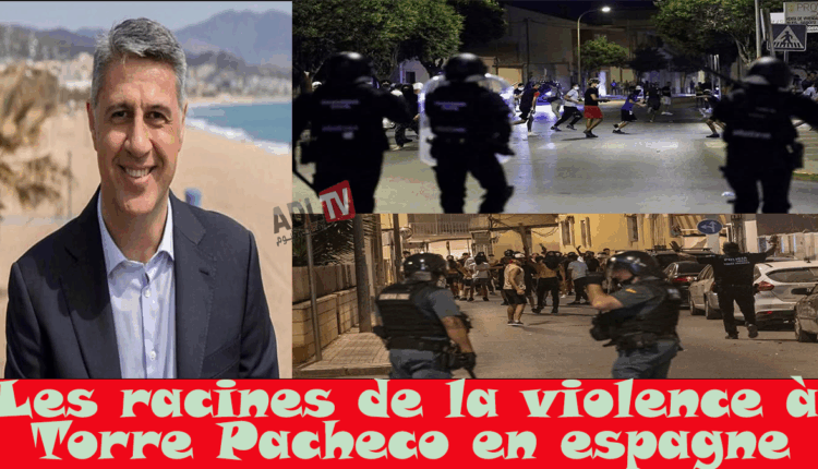 #جذور العنف في "توري باتشيكو"