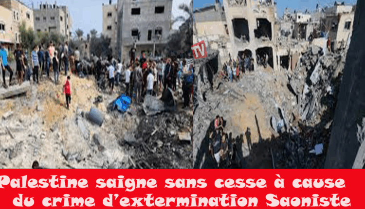 #مفوضة حقوق الإنسان: ما يحدث في غزة ليس نزاعا بل إبادة منهجية تحت سمع العالم