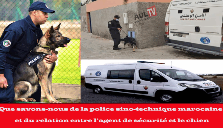 #الشرطة السينو تقنية الدفاع المتخصص عن الأمن بالمغرب