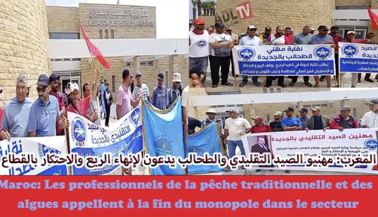 # المغرب: مهنيو الصيد التقليدي والطحالب يدعون لإنهاء الريع والاحتكار بالقطاع