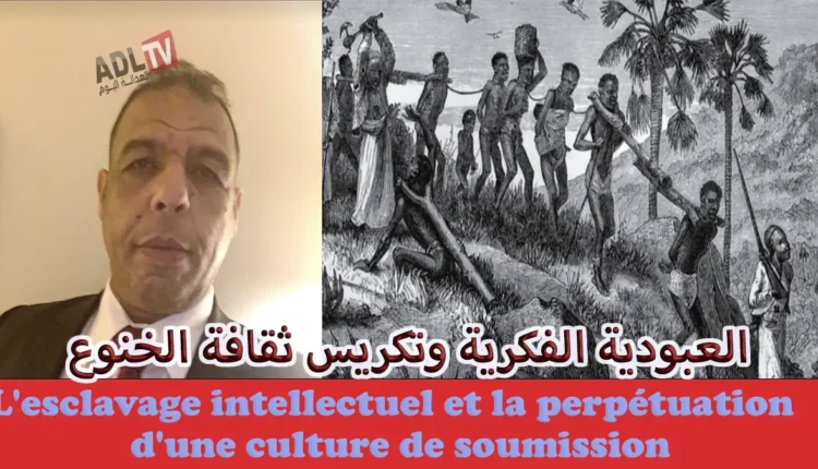 العبودية الفكرية وتكريس ثقافة الخنوع