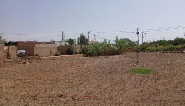 #فضيحة “زنا المحارم” بعين عودة بين النص والقيم وسؤال المسؤوليات