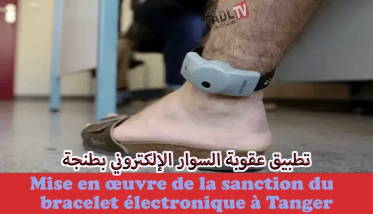 المغرب: طنجة تسجل لحظة تاريخية بتطبيقها العقوبات البديلة بدل العقوبات السالبة للحرية