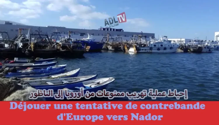 المغرب: إحباط عملية كبرى لتهريب كمية هامة من الممنوعات من أوروبا في اتجاه الناظور