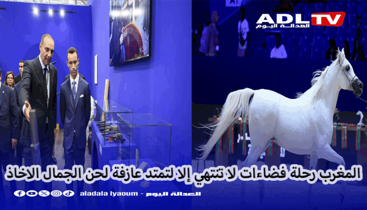 صاحب السمو الملكي ولي العهد الأمير مولاي الحسن يفتتح معرض الفرس ب"الجديدة"