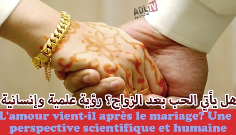 هل يأتي الحب بعد الزواج؟ رؤية علمية وإنسانية 