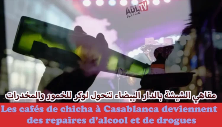 من يوقف تغول مافيا مقاهي الشيشة ب"الدار البيضاء" بالمغرب والجهات الداعمة لها؟ 