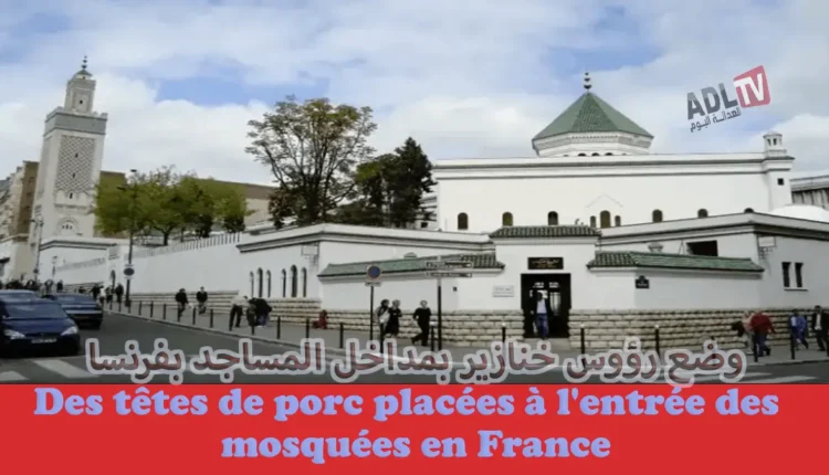 مسؤولية الدولة الفرنسية في حماية المساجد مع وضع رؤوس خنازير على بواباتها ب"باريس"