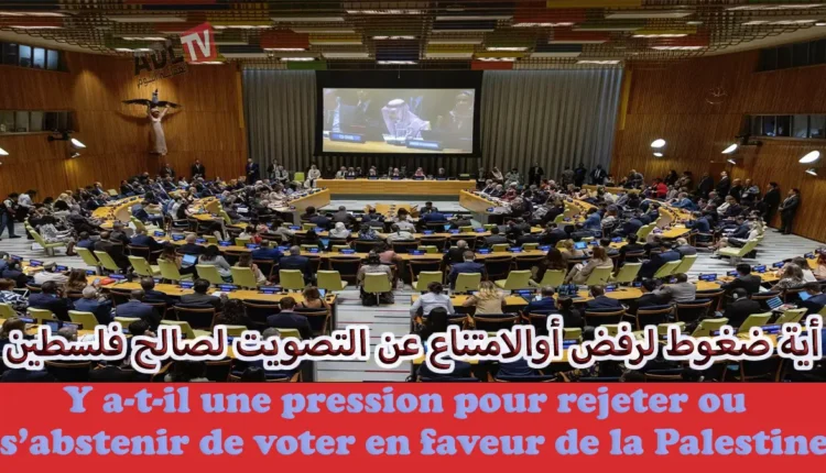بين الحياد والانحياز: قراءة في التصويت الأممي.. فلسطين في مرآة المجتمع الدولي