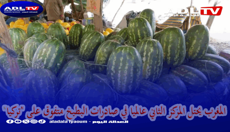 المغرب يحتل المركز الثاني عالميا في صادرات البطيخ متفوق على "تركيا"