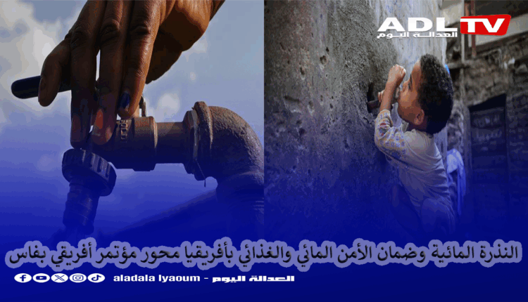 فاس تحتضن مؤتمرا أفريقيا لمناقشة النذرة وحل أزمة الخصاص وضمان الاستدامة المائية