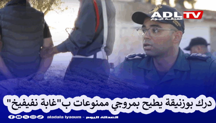 درك بوزنيقة يطيح بمروجي ممنوعات ب"غابة نفيفيخ" ويصادر ممنوعات ووسائل ترويج