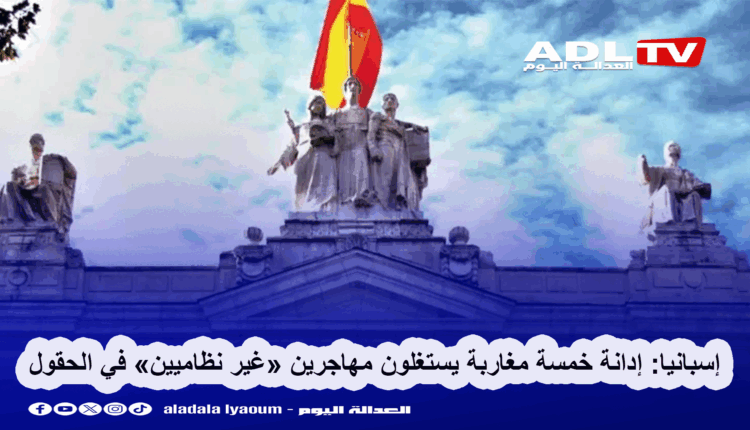 إسبانيا: إدانة خمسة مغاربة يستغلون مهاجرين «غير نظاميين» في الحقول