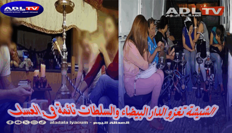 الدار البيضاء: مقاه الشيشة تتحول لملاه ليلية وبؤر للمخدرات