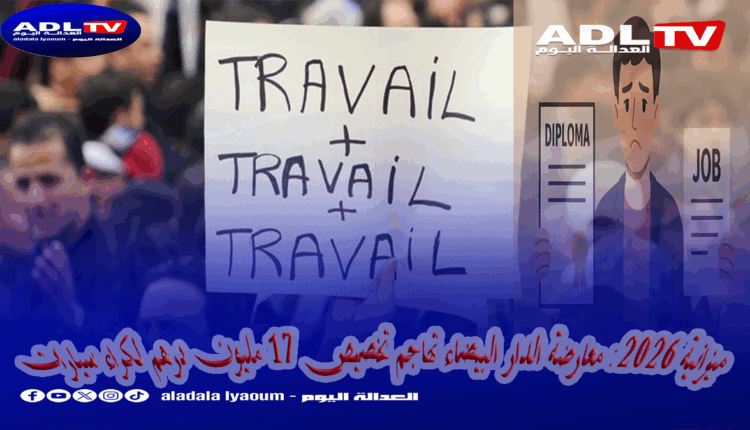 مفارقة مؤلمة: بطالة حاملي الشهادات العليا في المغرب تتجاوز 20.3%