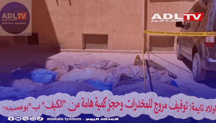 أولاد تايمة: توقيف مروج للمخدرات وحجز كمية هامة من "الكيف" ب"بوعصيدة"