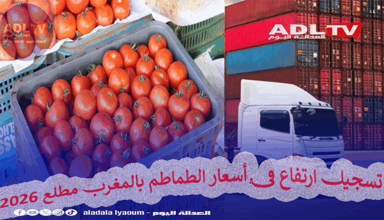 تسجيل ارتفاع في أسعار الطماطم بالمغرب مطلع 2026