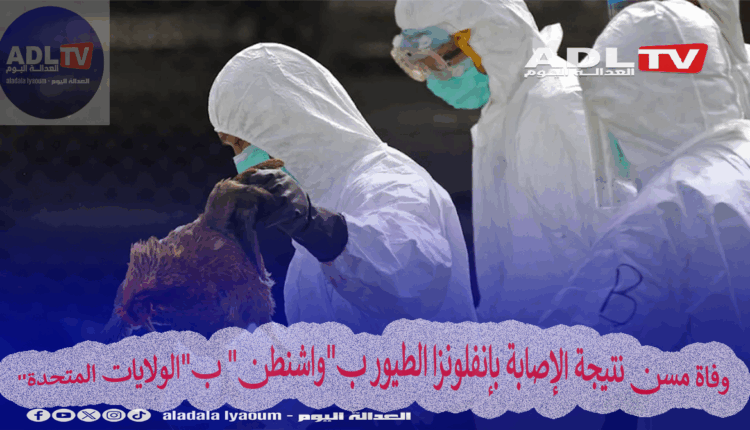 وفاة مسن نتيجة الإصابة بإنفلونزا الطيور ب"واشنطن" ب"الولايات المتحدة"