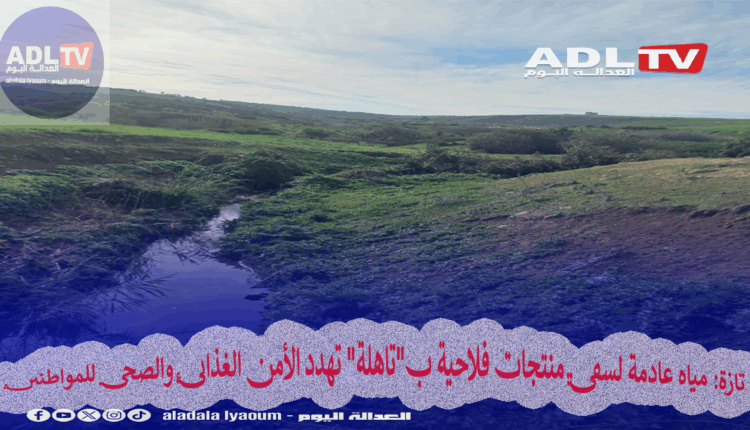 تازة: مياه عادمة لسقي منتجات فلاحية ب"تاهلة" تهدد الأمن الغذائي والصحي للمواطنين