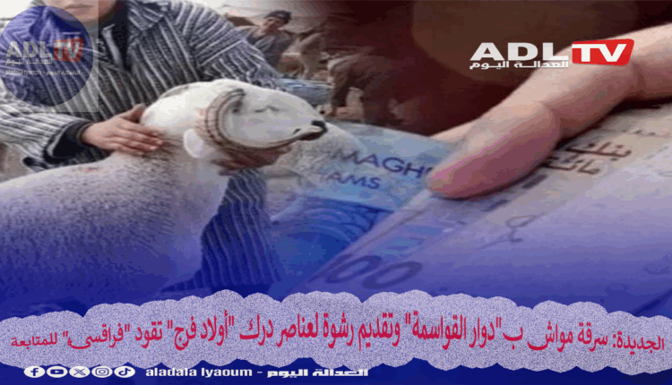 الجديدة: الدرك الملكي يوقف "فراقشي" متلبساً بالسرقة ويضيف له جنحة محاولة إرشاء