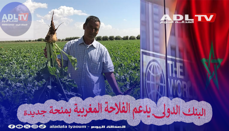 البنك الدولي يدعم الفلاحة المغربية بمنحة جديدة
