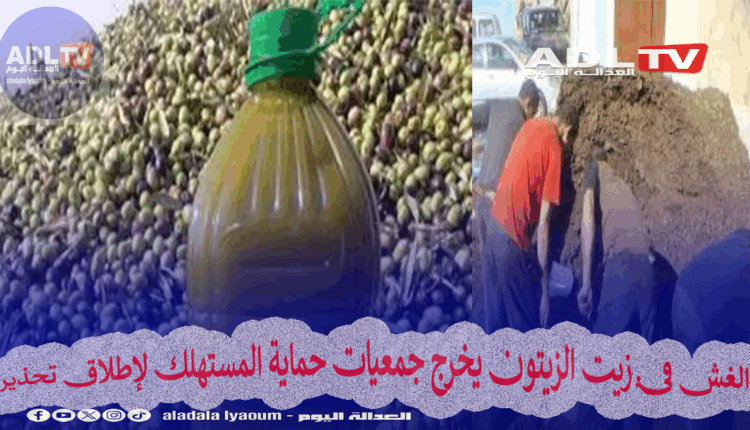 الغش في زيت الزيتون يخرج جمعيات حماية المستهلك لإطلاق تحذير