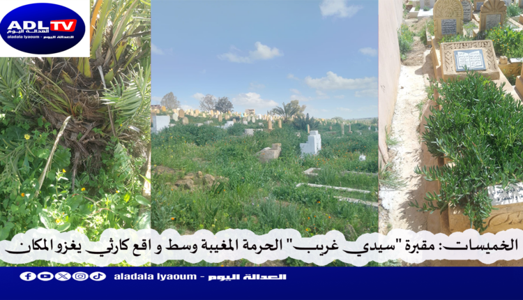 الخميسات: مقبرة "سيدي غريب" الحرمة المغيبة وسط واقع كارثي يغزو المكان