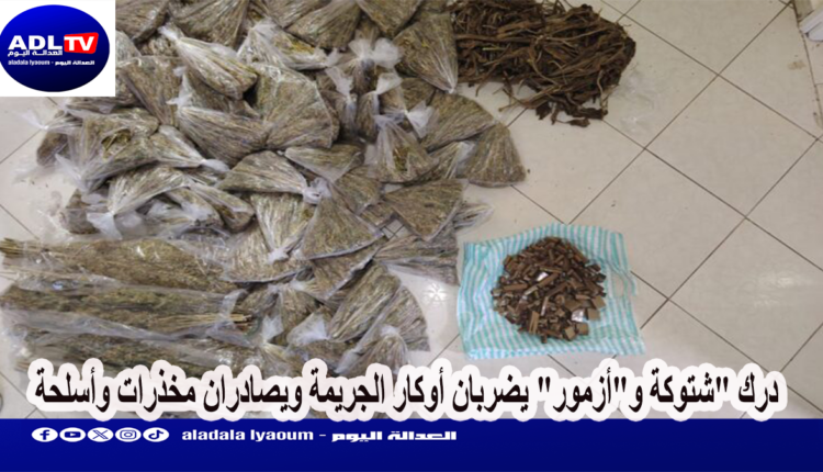 درك "شتوكة و"أزمور" يضربان أوكار الجريمة ويصادران مخذرات وأسلحة