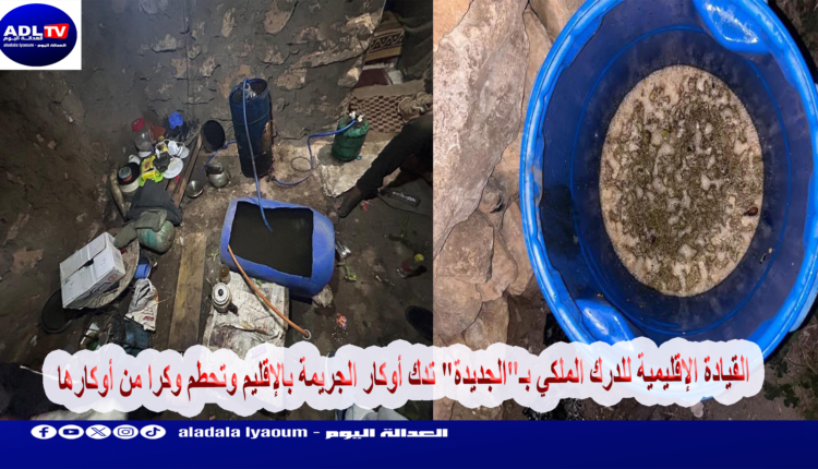 القيادة الإقليمية للدرك الملكي بـ"الجديدة" تدك أوكار الجريمة بالإقليم وتحطم وكرا من أوكارها