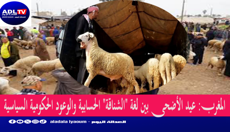 المغرب: عيد الأضحى بين لغة "الشناقة" الحسابية والوعود الحكومية السياسية