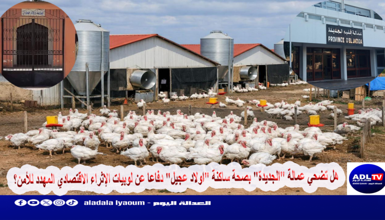 هل تضحي عمالة "الجديدة" بصحة ساكنة "اولاد عجيل" دفاعا عن لوبيات الإثراء الاقتصادي المهدد للأمن؟