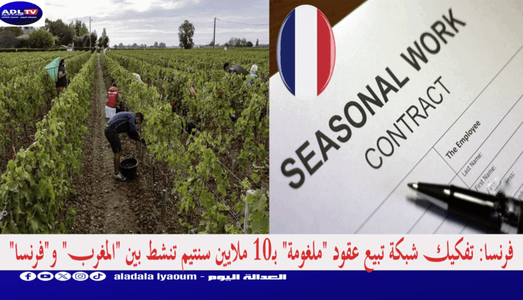 فرنسا: تفكيك شبكة تبيع عقود "ملغومة" بـ10 ملايين سنتيم تنشط بين "المغرب" و"فرنسا"