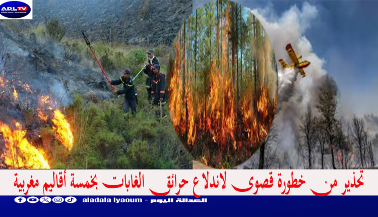 تحذير من خطورة قصوى لاندلاع حرائق الغابات بخمسة أقاليم مغربية
