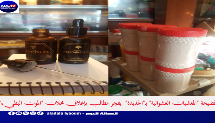 فضيحة "المعشبات العشوائية" بـ"الجديدة" يفجر مطالب بإغلاق محلات "الموت البطيء"