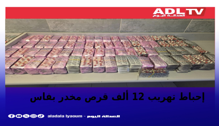 توقيف مروج مخدرات وحجز 12 ألف قرص بفاس