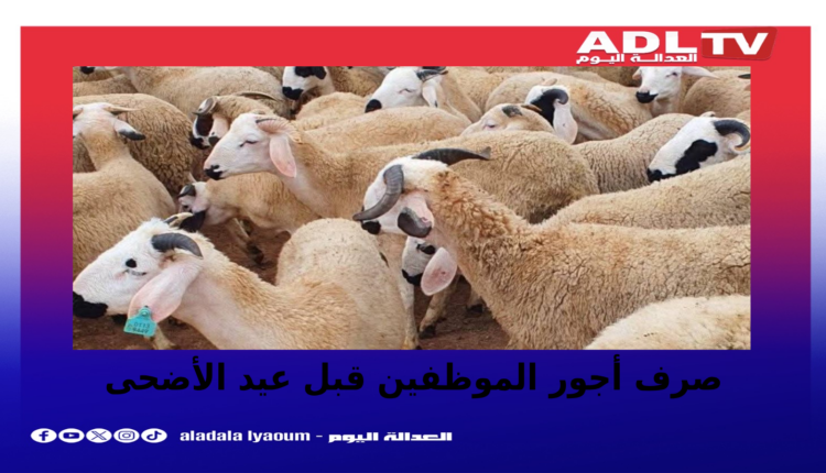الحكومة تعلن صرف أجور الموظفين قبل عيد الأضحى