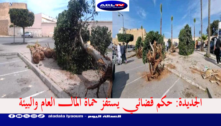 الجديدة: حكم قضائي يستفز حماة المال العام والبيئة