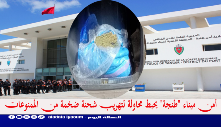 أمن ميناء "طنجة" يحبط محاولة لتهريب شحنة ضخمة من الممنوعات