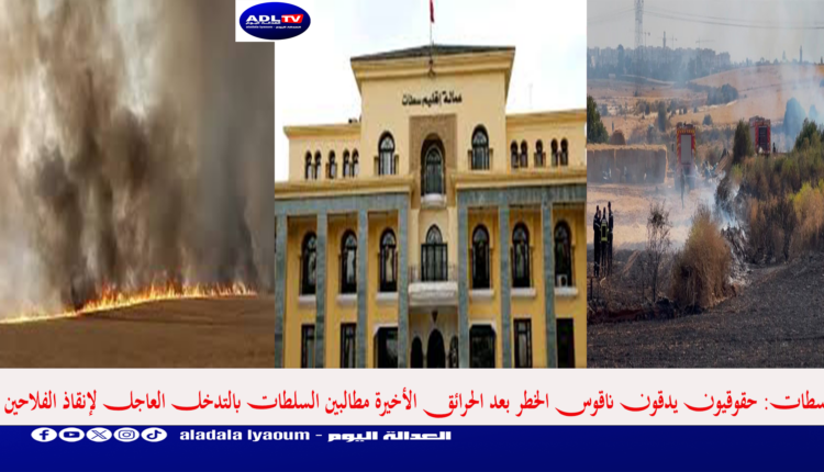 سطات: حقوقيون يدقون ناقوس الخطر بعد الحرائق الأخيرة مطالبين السلطات بالتدخل العاجل لإنقاذ الفلاحين