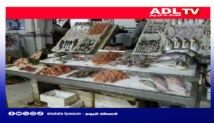 قانون جديد ينهي فوضى تجارة الأسماك بالمغرب.