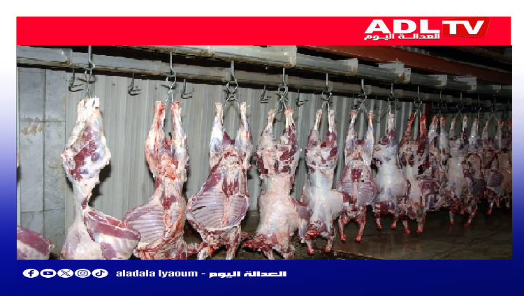 وزير الداخلية عبد الوافي لفتيت يكشف واقع المجازر.