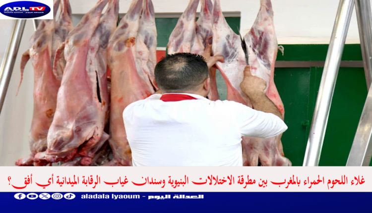 غلاء اللحوم الحمراء بالمغرب بين مطرقة الاختلالات البنيوية وسندان غياب الرقابة الميدانية أي أفق؟