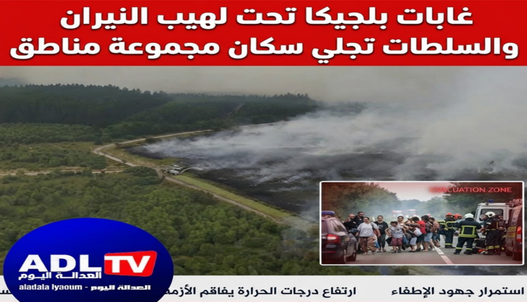 غابات بلجيكا تحت لهيب النيران والسلطات تجلي سكان مجموعة مناطق